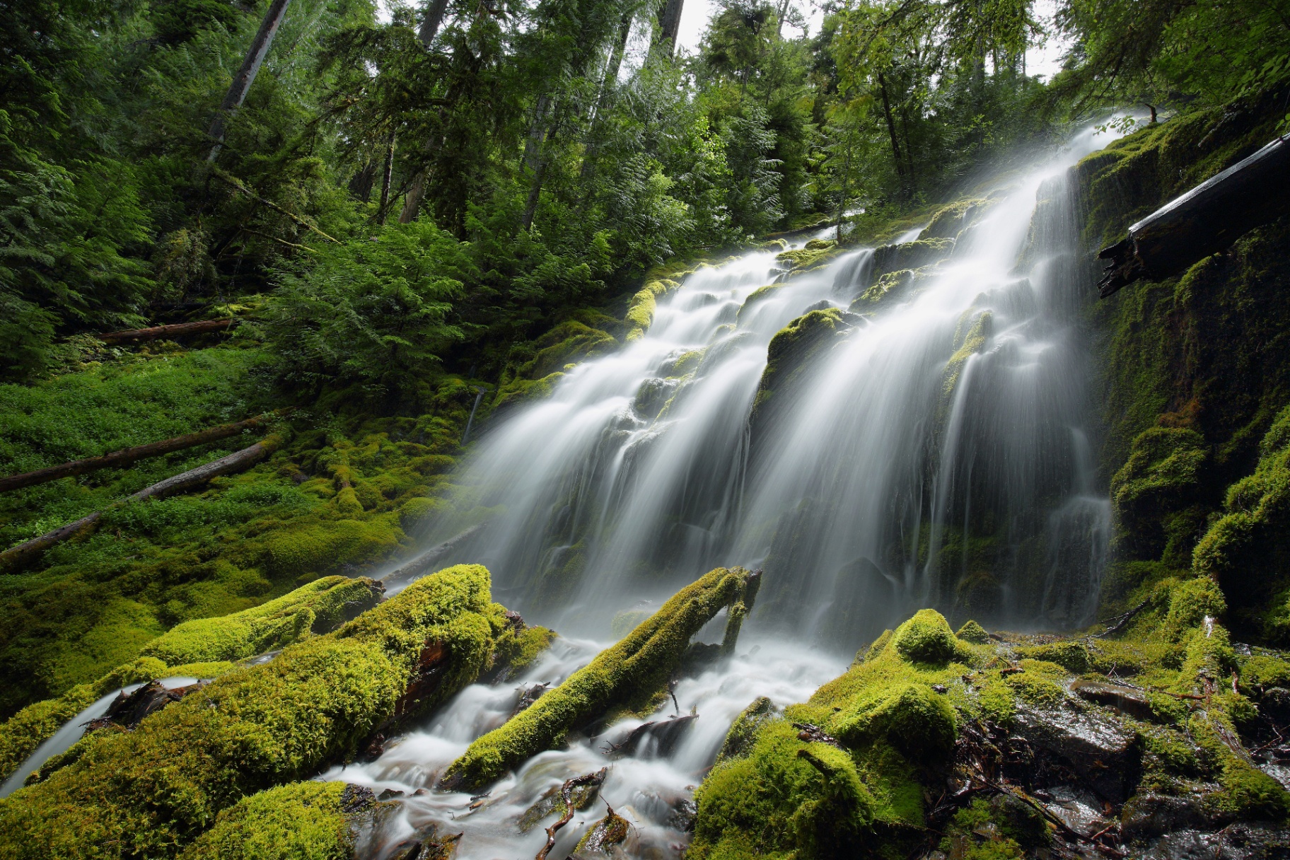 Waterfall in forest background